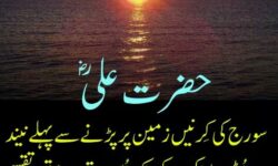 IMG-20150528-WA0084