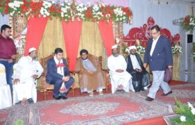 maulana abbas sajjadi in weddig with ulma e ahle sunnah